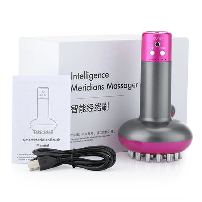 Electric Lymphatic Drainage Machine Meridian Body Massage Brush EMS Anti Cellulite Guasha Physiotherapy Apparatus Fat Burner Bbl