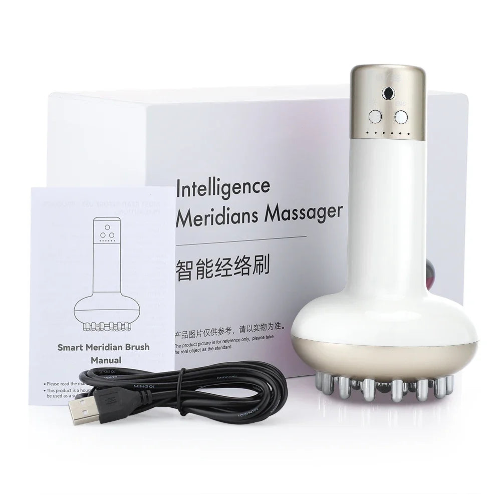 Electric Lymphatic Drainage Machine Meridian Body Massage Brush EMS Anti Cellulite Guasha Physiotherapy Apparatus Fat Burner Bbl