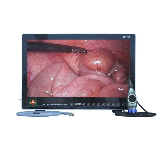2025.4 SY-PS050 Integrated Medical Portable Endoscopy Imaging System All In One Endoscopy HD Camera Clinical Analytical Instrume